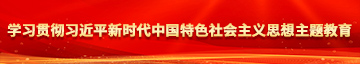 摸胸操鸡吧免费网站学习贯彻习近平新时代中国特色社会主义思想主题教育